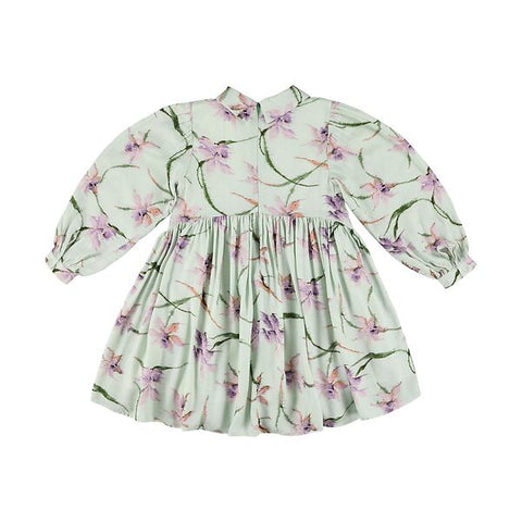 Kleid Vassy in Narcis Grün