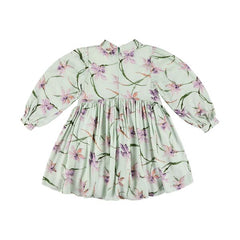Kleid Vassy in Narcis Grün