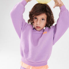 Sweatshirt Izubird in Violett