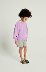 Sweatshirt Izubird in Violett