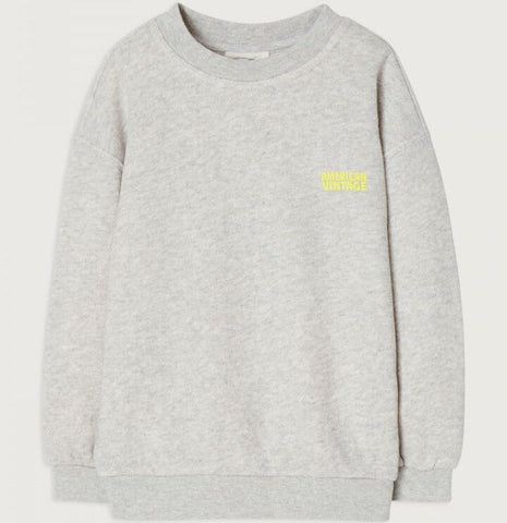 Sweatshirt Izubird in Grau