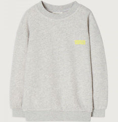 Sweatshirt Izubird in Grau