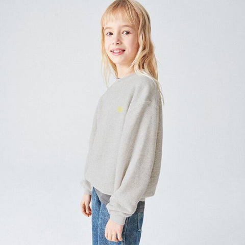 Sweatshirt Izubird in Grau